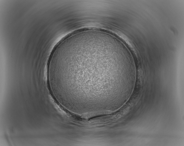 X0000111900791200908031116