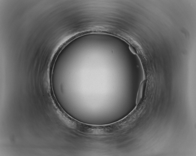 X0000111900792200908031116