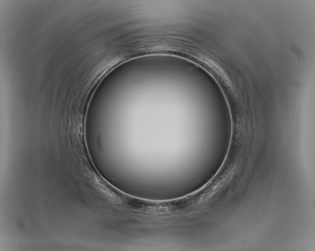 X0000111900793200908031116