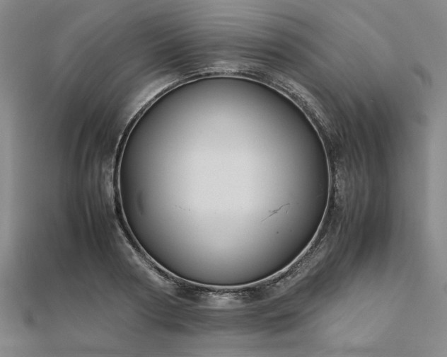 X0000111900794200908031116