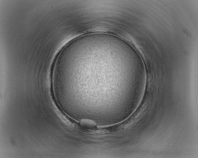 X0000111900795200908031116