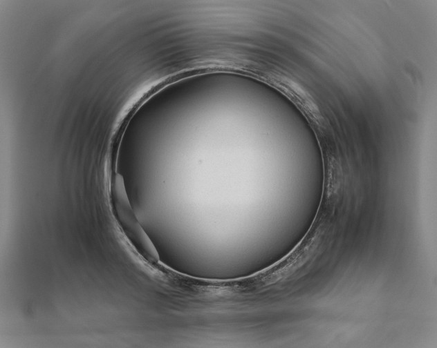 X0000111900796200908031116