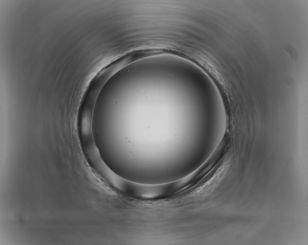 X0000111900797200908031116