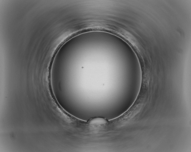 X0000111900799200908031116