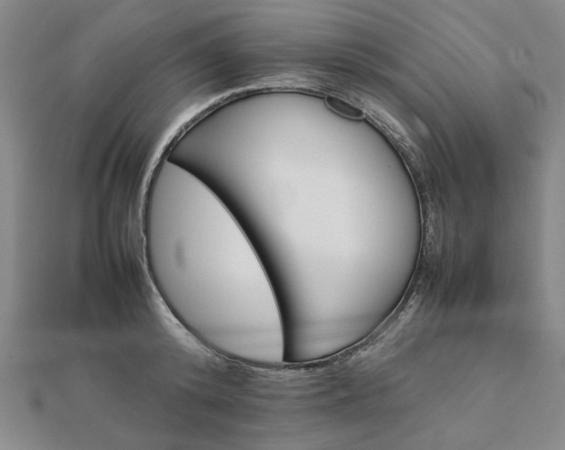 X0000111900800200908031116