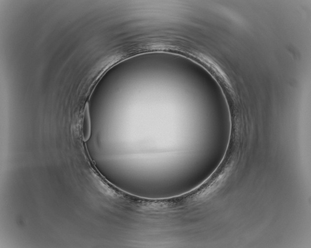 X0000111900801200908031116