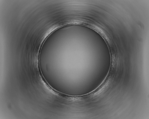 X0000111900802200908031116