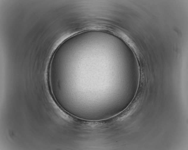 X0000111900803200908031116