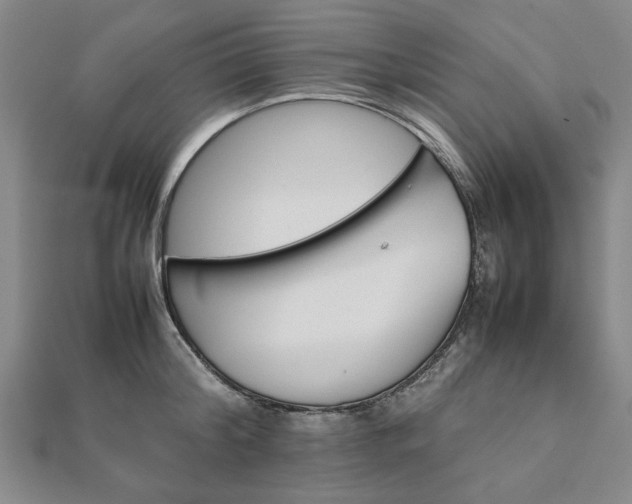 X0000111900804200908031116