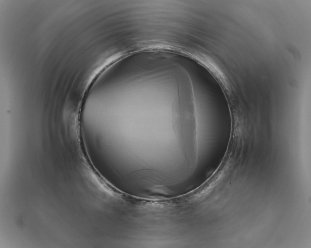 X0000111900806200908031116