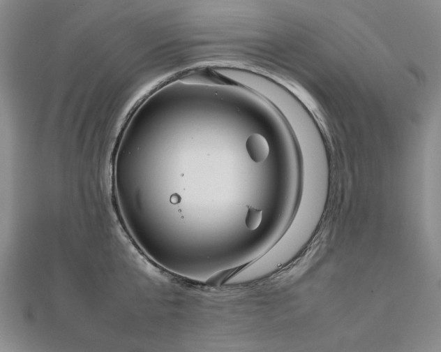 X0000111900807200908031116