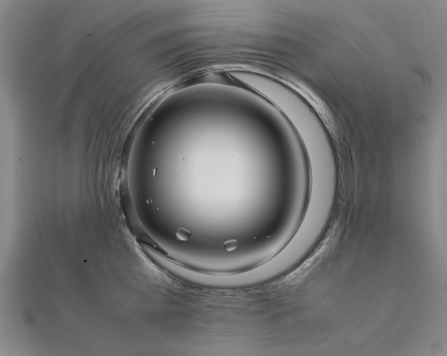 X0000111900809200908031116