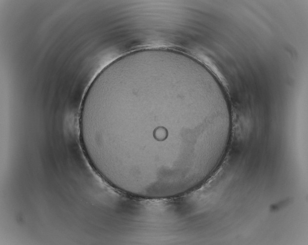 X0000111900810200908031116