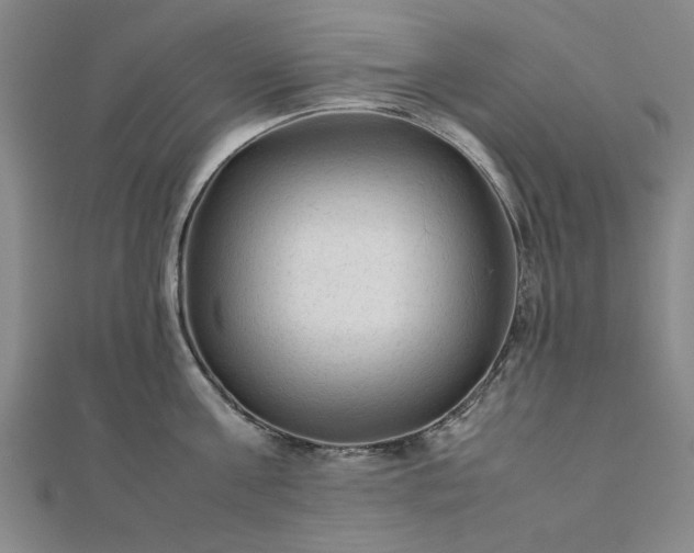 X0000111900811200908031116