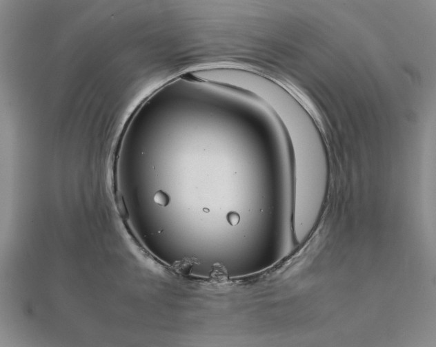 X0000111900813200908031116