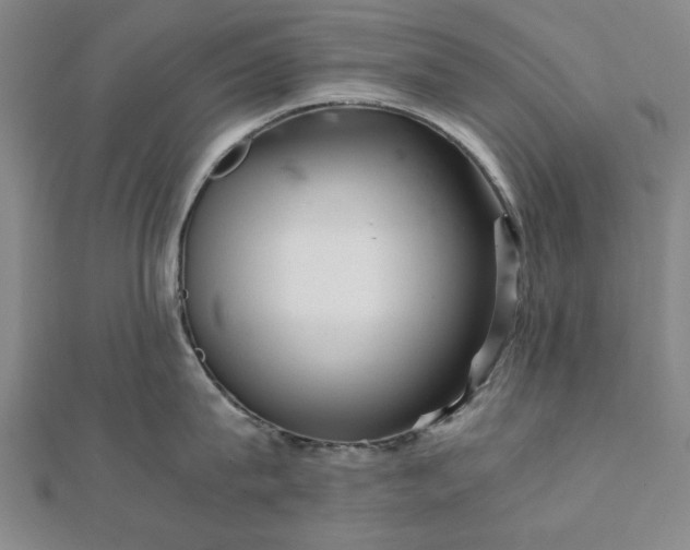 X0000111900815200908031116