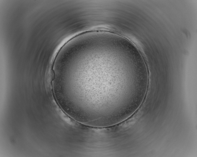 X0000111900816200908031116