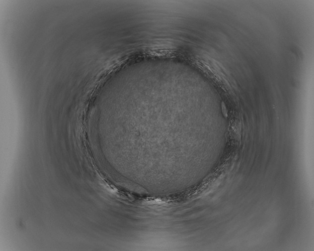 X0000111900817200908031115