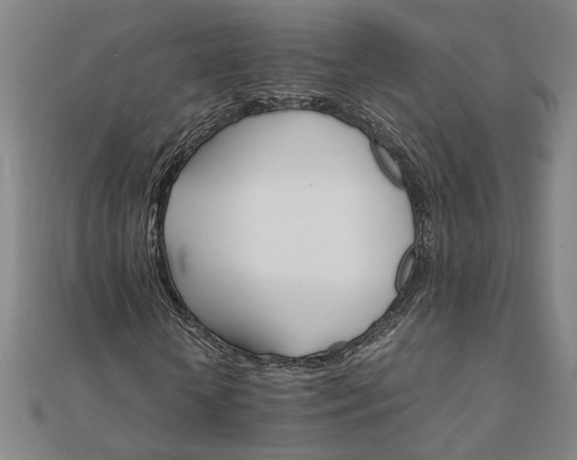 X0000111900818200908031115