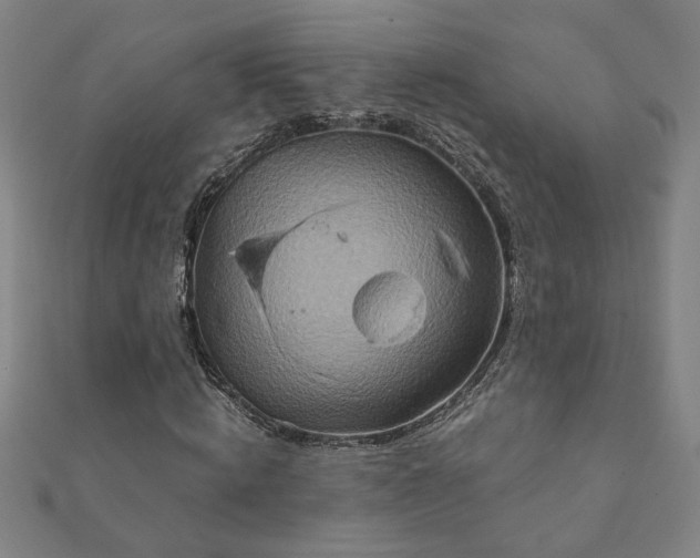 X0000111900820200908031115