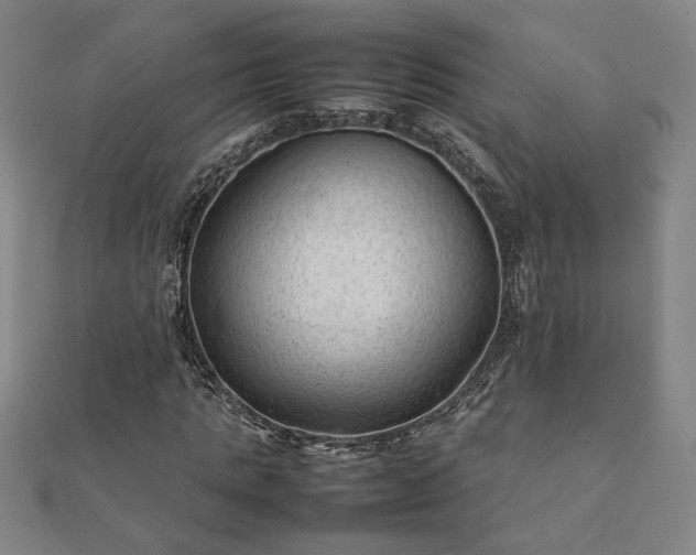 X0000111900821200908031115