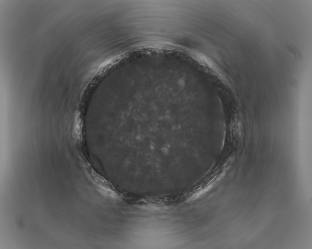 X0000111900822200908031115