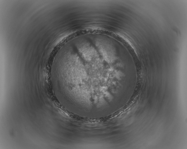 X0000111900823200908031115