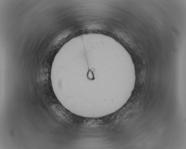 X0000111900824200908031115