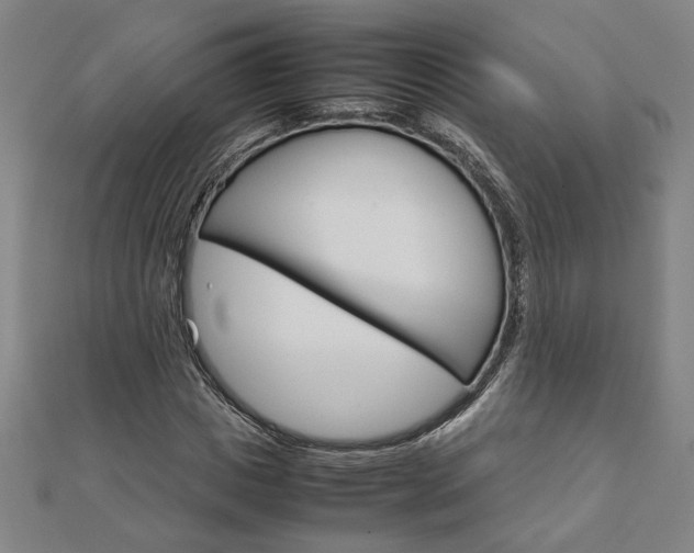 X0000111900825200908031115