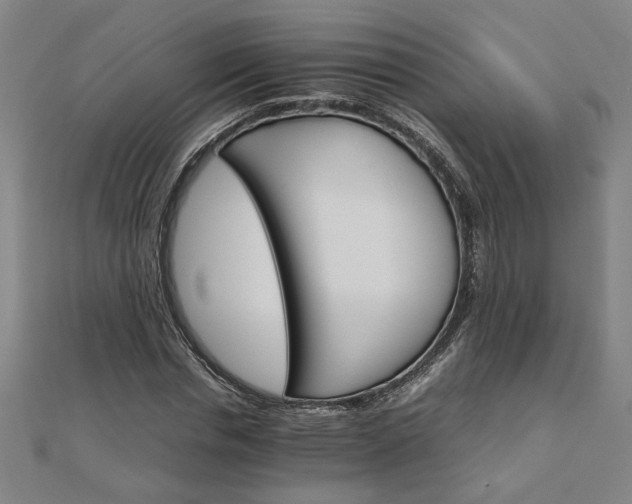 X0000111900826200908031115