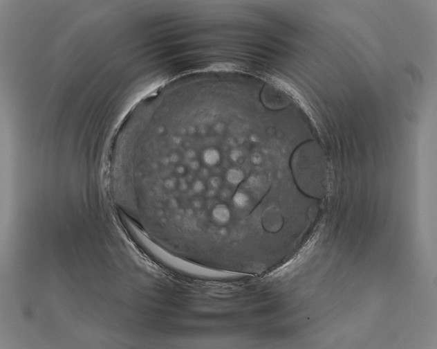 X0000111900827200908031115