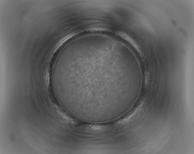 X0000111900829200908031115