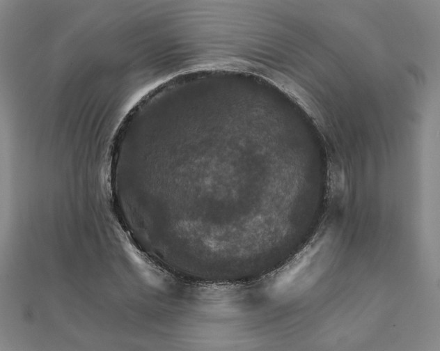 X0000111900830200908031115