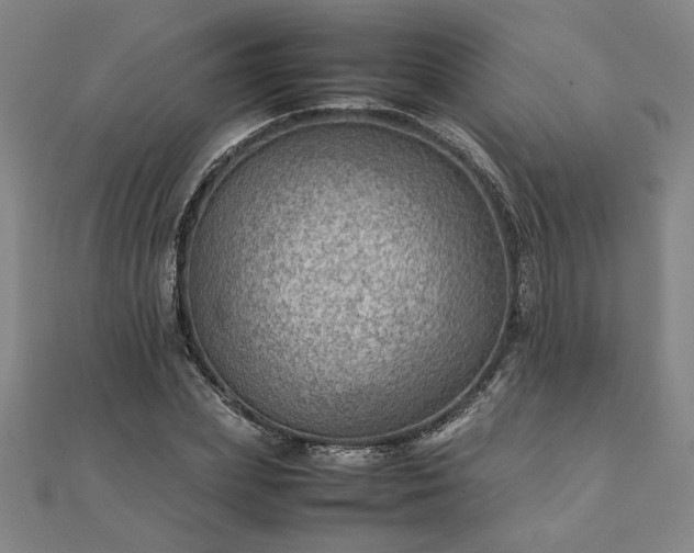 X0000111900831200908031115