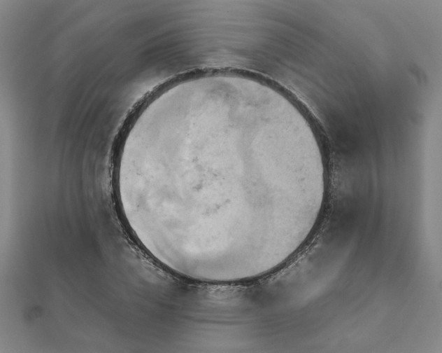 X0000111900832200908031115