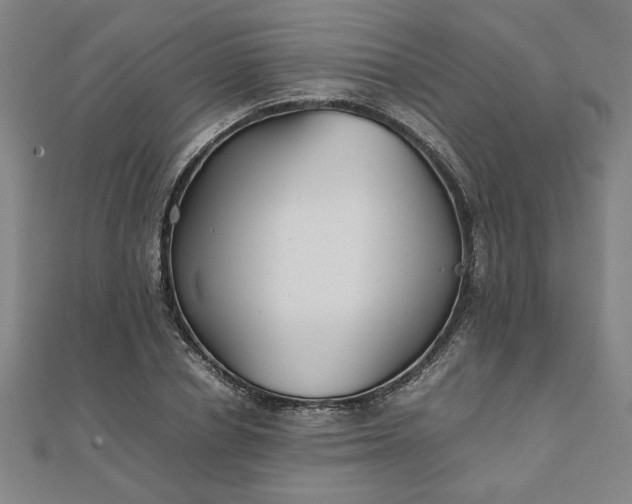 X0000111900834200908031115