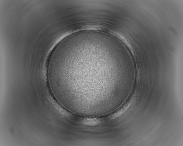 X0000111900835200908031115