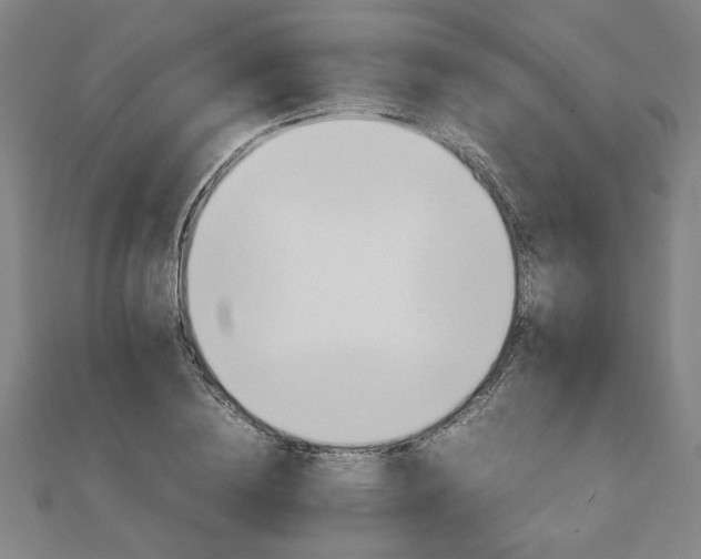 X0000111900836200908031115