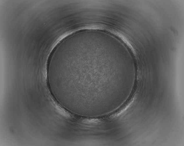 X0000111900837200908031115