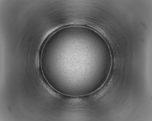 X0000111900838200908031115