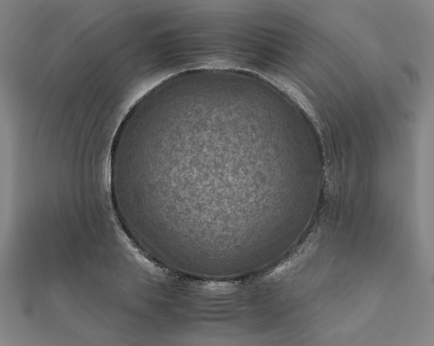 X0000111900839200908031115