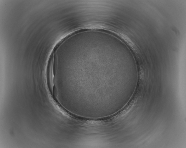 X0000111900840200908031115