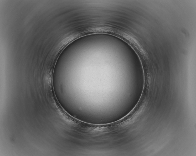 X0000111900841200908031115