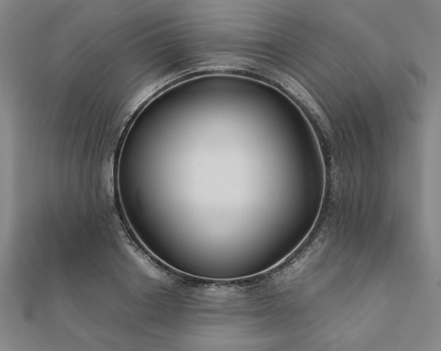 X0000111900842200908031115