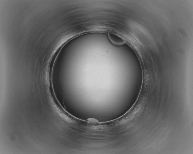 X0000111900843200908031115