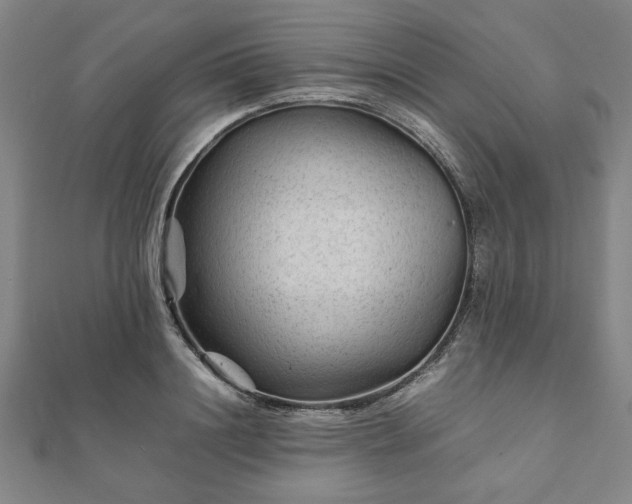 X0000111900844200908031115