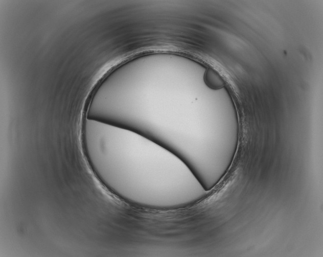 X0000111900845200908031115