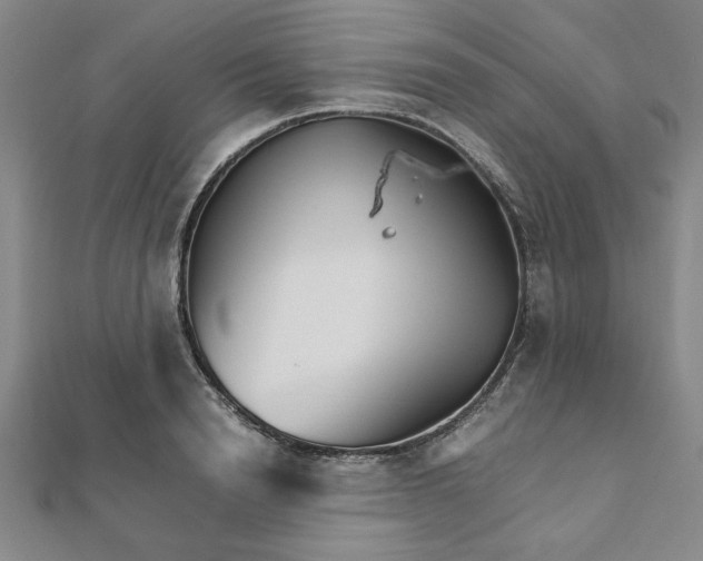 X0000111900846200908031115