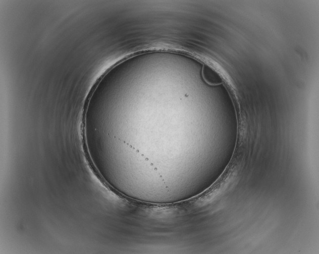 X0000111900847200908031115