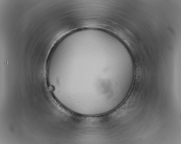 X0000111900848200908031115